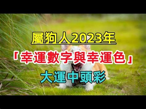 2023屬狗幸運色